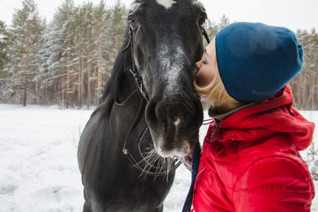 Woman kissing a horse in woodsの写真素材