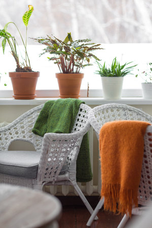 Restaurant interior. Pepper and salt on the table.の写真素材