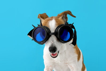 Portrait of a dog steampunk isolated blue backgroundの写真素材