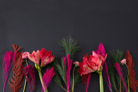 Top view composition of bright red colored flowers and green stems arranged in row on black backgroundの写真素材