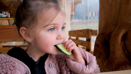 Cute little girl in warm outerwear biting slice of fresh cucumber while sitting at table in rustic style restaurant in countrysideの写真素材