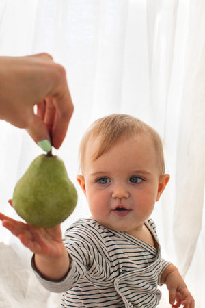 Cute baby girl are sitting whith pear white background interior. Funny child explores the fruitの写真素材