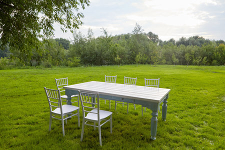 White table with chairs under tree on lawn