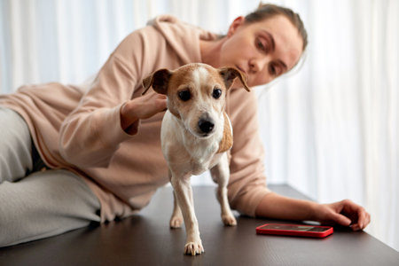Pet owner supports the three-legged dog sitting at tableの写真素材