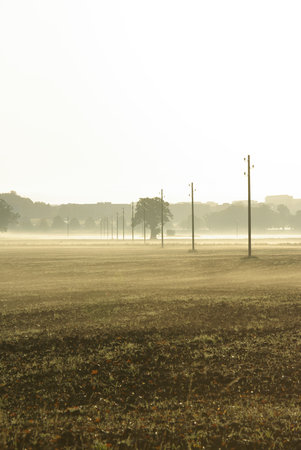 Foggy Fieldの写真素材