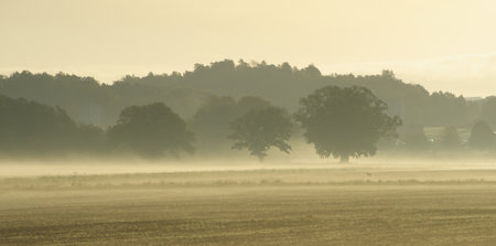 Misty Fieldの写真素材