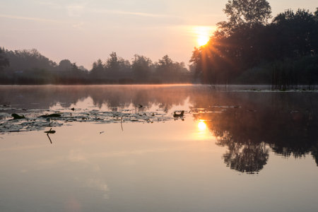 River sunset mreÅ¾nicaの写真素材