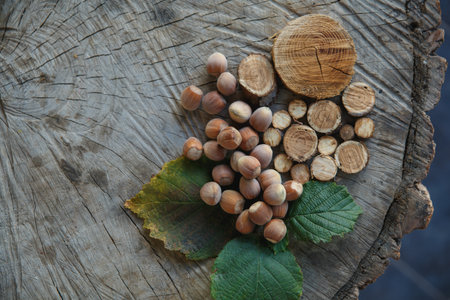 On a wooden stump are nuts, leaves and pieces of woodの写真素材