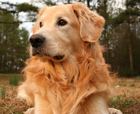 My murphy