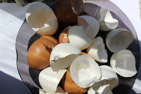 eggshell in a plate on a white background