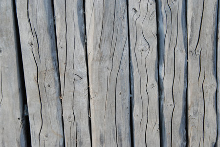 woodの写真素材