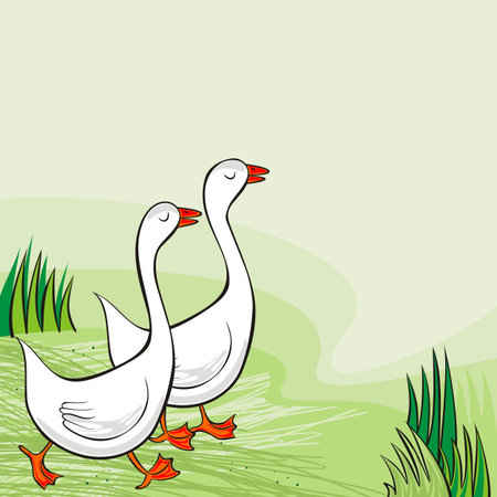 white gooses free run on sunny summer day animal farm life illustration on green background のイラスト素材