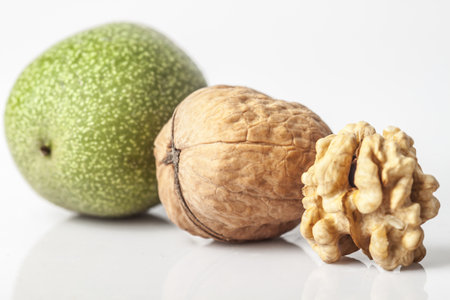 Walnut photoの写真素材