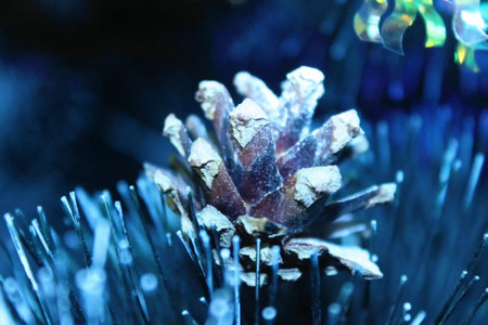 Pine needleの写真素材