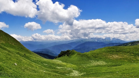 Amazing Caucasus
