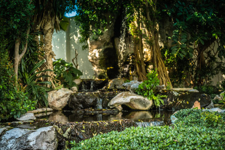 background image of tropical jungle, trees and waterfall on a sunny day.の写真素材