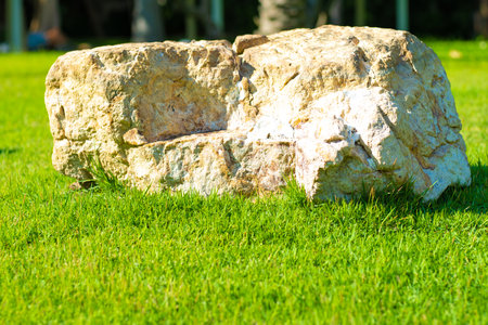 background image Large stone on green grass, copy space.の写真素材