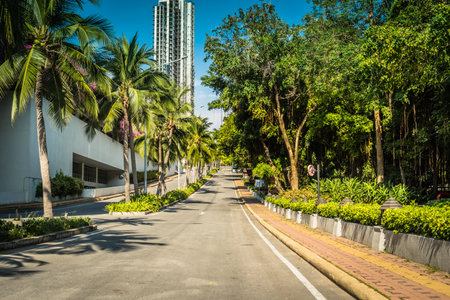 Nice asfalt road with palm trees against the blue sky and cloud.の写真素材