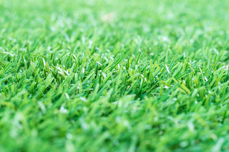 Green grass. background texture. fresh spring green grass.の写真素材