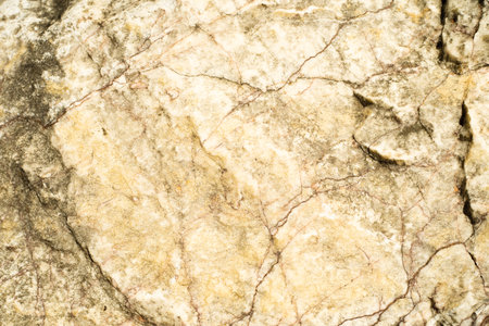 stone texture background. Detail of stone texture for background