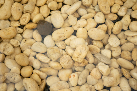 Sea stones background. Beach Rocks in water.の写真素材