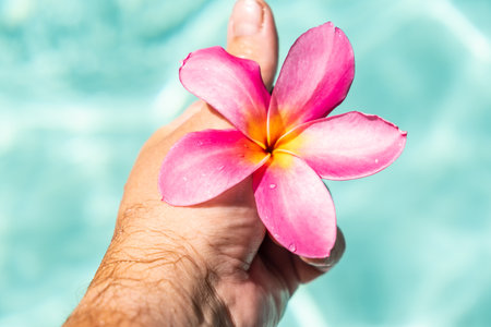 mans hand holds frangipani flower floating in clear blue water, with copy space.の写真素材