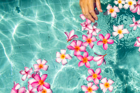 frangipani flower floating in clear blue water, with copy space.の写真素材