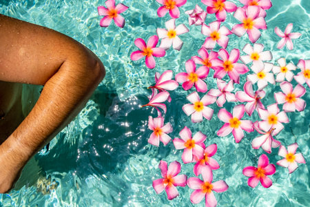 frangipani flower floating in clear blue water, with copy space.の写真素材