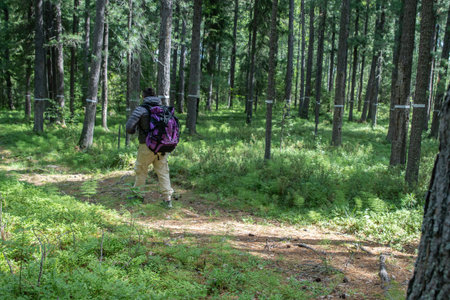 A man with a large tourist backpack traveling through the woods, ecotourism concept.の写真素材
