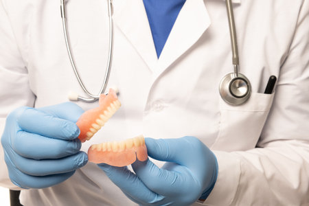 A dentist doctor in a white coat holds a false jaw in his hands. The concept of healthy teeth.