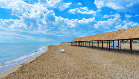 on the beachの写真素材
