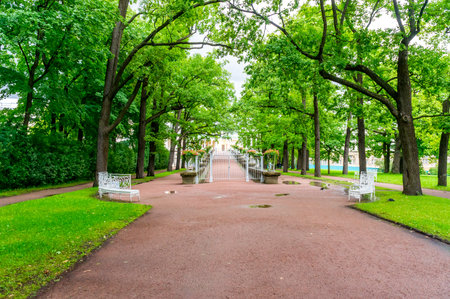 RUSSIA, Tsarskoe Selo - JULY, 20, 2013. Alley in the park in Tsarskoye Seloのeditorial素材