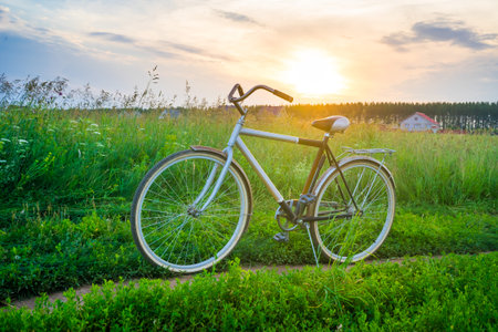 Old bicycle in the field against a background of tall grass and beautiful sunset
