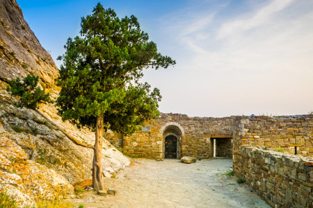 Tree on the ruins of a medieval Genoese fortress in Sudak, in the Crimea, in Russiaのeditorial素材