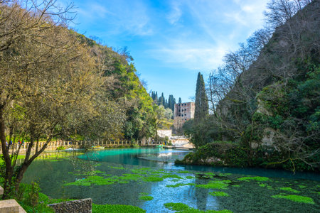 Old pond in New Athos in Abkhaziaの写真素材