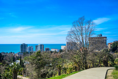 View of the city and the sea from the Arboretum in Sochi
