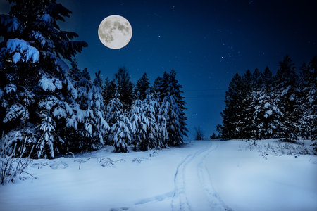 Winter forest at night. Deep snowdrifts. The full moon illuminates the track from the snowmobileの写真素材