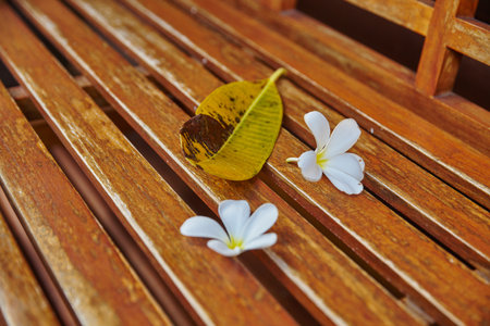 flowers on a benchの写真素材