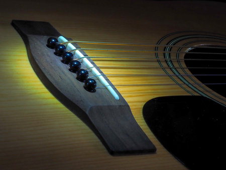 The musical instrument is a classical acoustic guitar of light cinnamon blossoms with a dark neck...