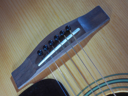 The musical instrument is a classical acoustic guitar of light cinnamon blossoms with a dark neck...