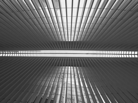 Monochrome image of the roof inside the Oculus building.のeditorial素材
