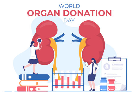 World Organ Donation Day with Kidneys, Heart, Lungs, Eyes or Liver for Transplantation, Saving Lives and Health Care in Flat Cartoon Illustrationのイラスト素材
