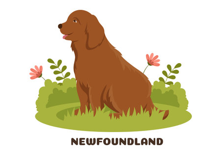 Newfoundland Dog Animals with Black, Brown or Landseer Color in Flat Style Cute Cartoon Template Hand Drawn Illustrationのイラスト素材