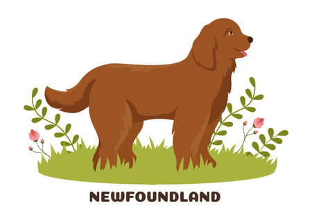 Newfoundland Dog Animals with Black, Brown or Landseer Color in Flat Style Cute Cartoon Template Hand Drawn Illustrationのイラスト素材