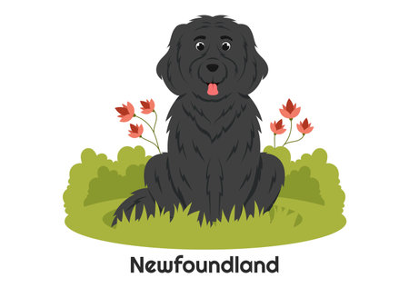 Newfoundland Dog Animals with Black, Brown or Landseer Color in Flat Style Cute Cartoon Template Hand Drawn Illustrationのイラスト素材