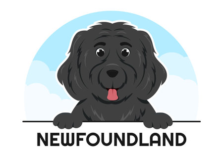 Newfoundland Dog Animals with Black, Brown or Landseer Color in Flat Style Cute Cartoon Template Hand Drawn Illustrationのイラスト素材