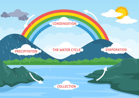 Water Cycle of Evaporation, Condensation, Precipitation to Collection in Earth natural environment on Flat Cartoon Hand Drawn Template Illustrationのイラスト素材