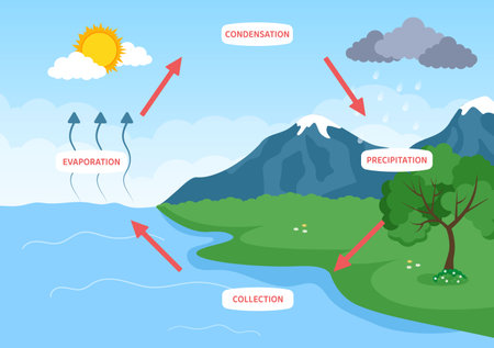 Water Cycle of Evaporation, Condensation, Precipitation to Collection in Earth natural environment on Flat Cartoon Hand Drawn Template Illustrationのイラスト素材