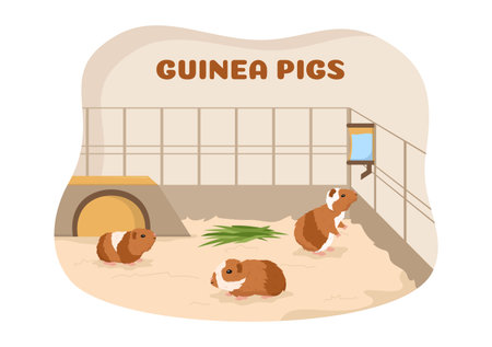 Guinea Pig Pets Hamsters Animals Breeds Suitable for Poster or Greeting Card in Flat Cute Cartoon Hand Drawn Templates Illustrationのイラスト素材