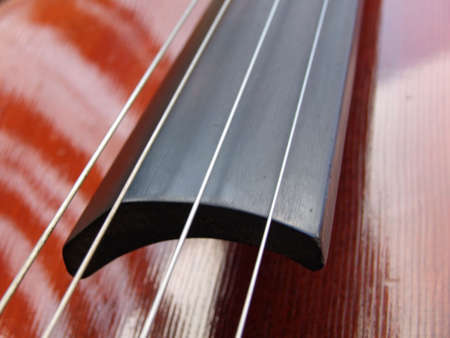 CELLO'S の写真素材